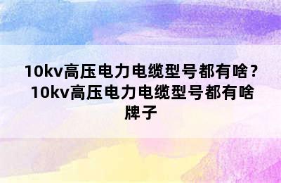 10kv高压电力电缆型号都有啥？ 10kv高压电力电缆型号都有啥牌子